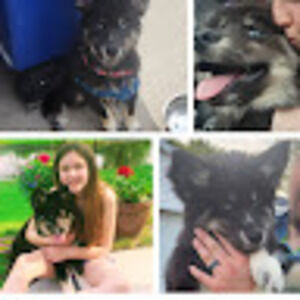 Meet your Posher, Shayla ruth